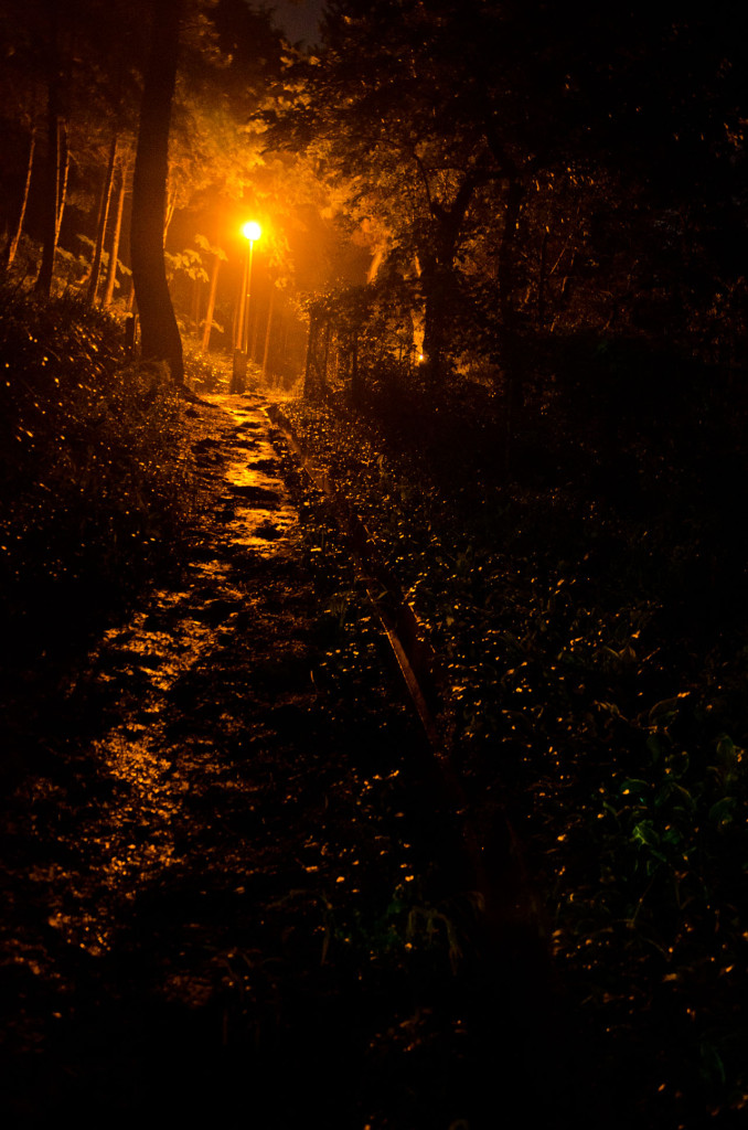 baesan-path-DSC_7785