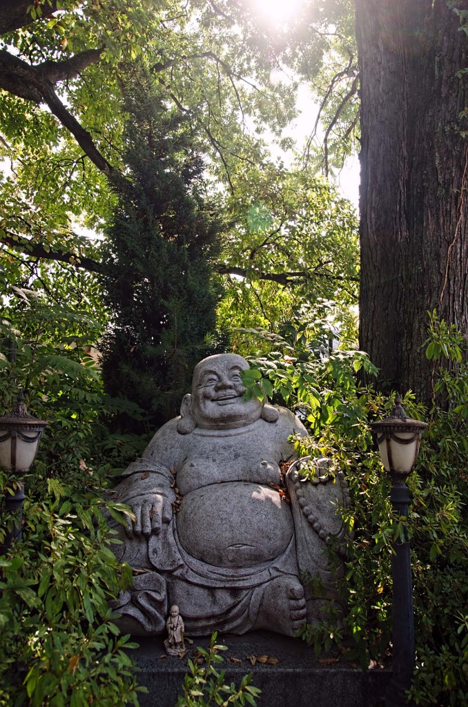 budai-DSC_8986