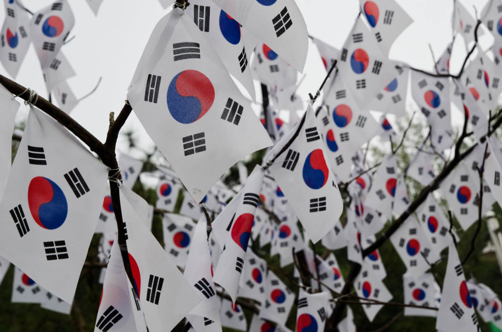 korean-flag-tree-DSC_8855