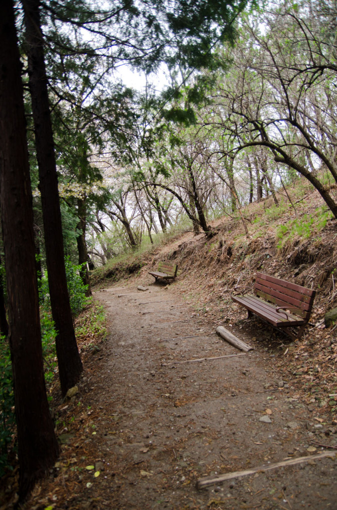 benches-DSC_2183