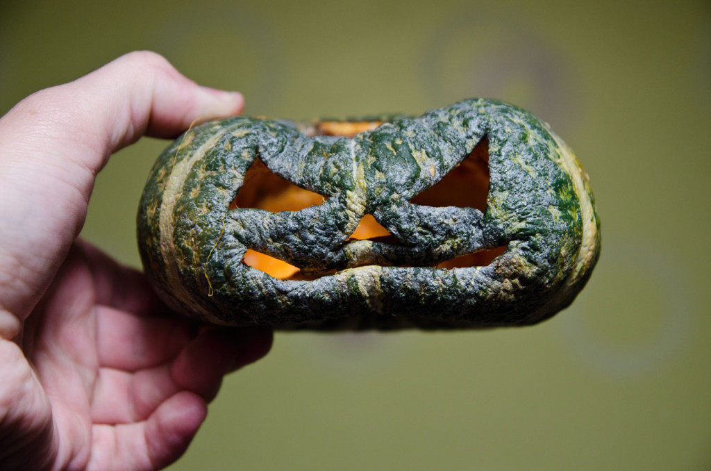 harabeoji-pumpkin-DSC_0772