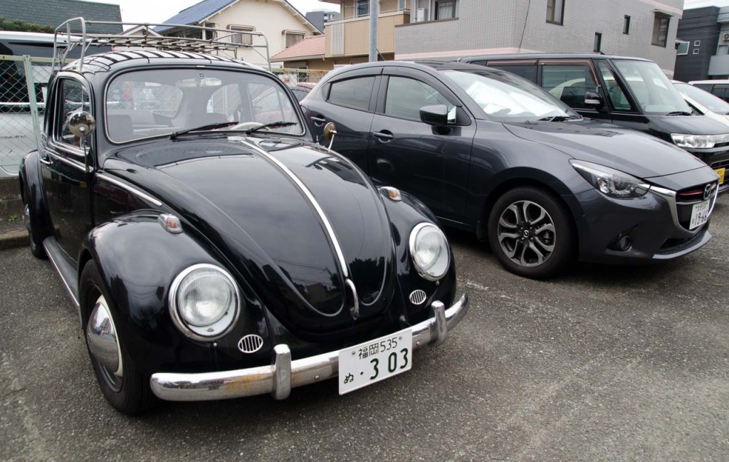 black-beetle-DSC_2047