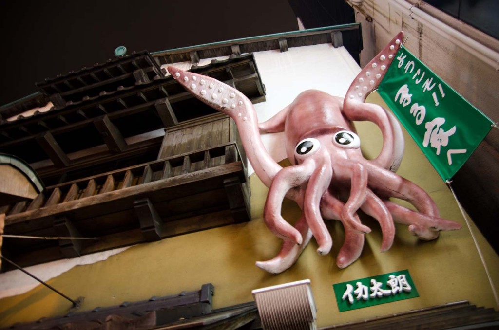 squid-ika-イカ-DSC_2070