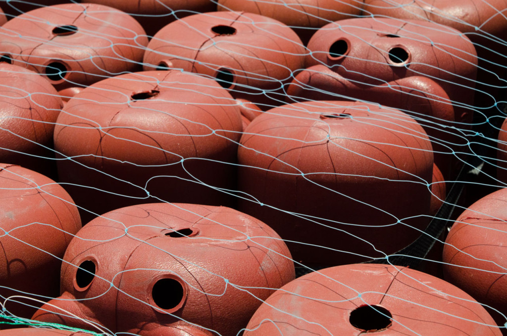 octopus-trap-DSC_6800