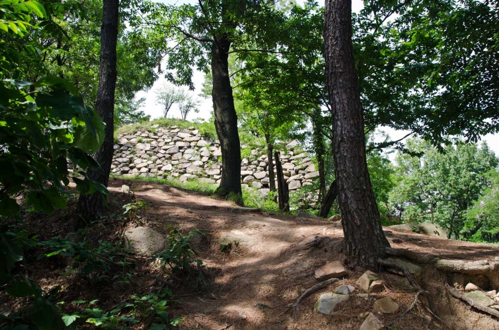 woods-fortress-south-wall-DSC_5017