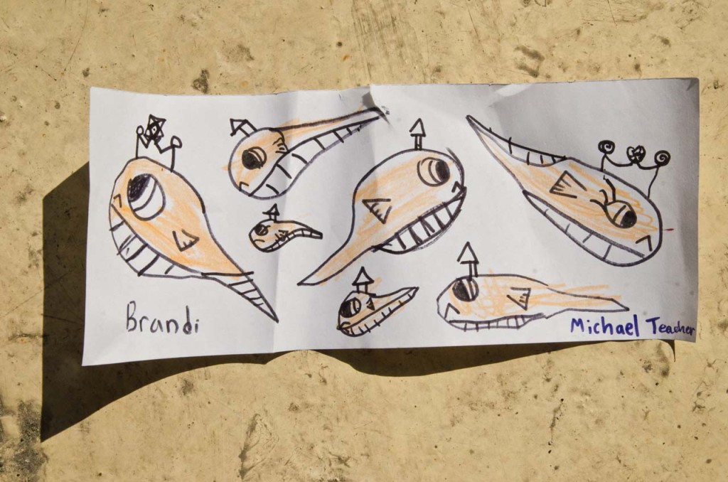 seamonkeys-brnadi-DSC_3159
