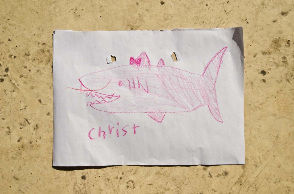 shark-christina-DSC_3158