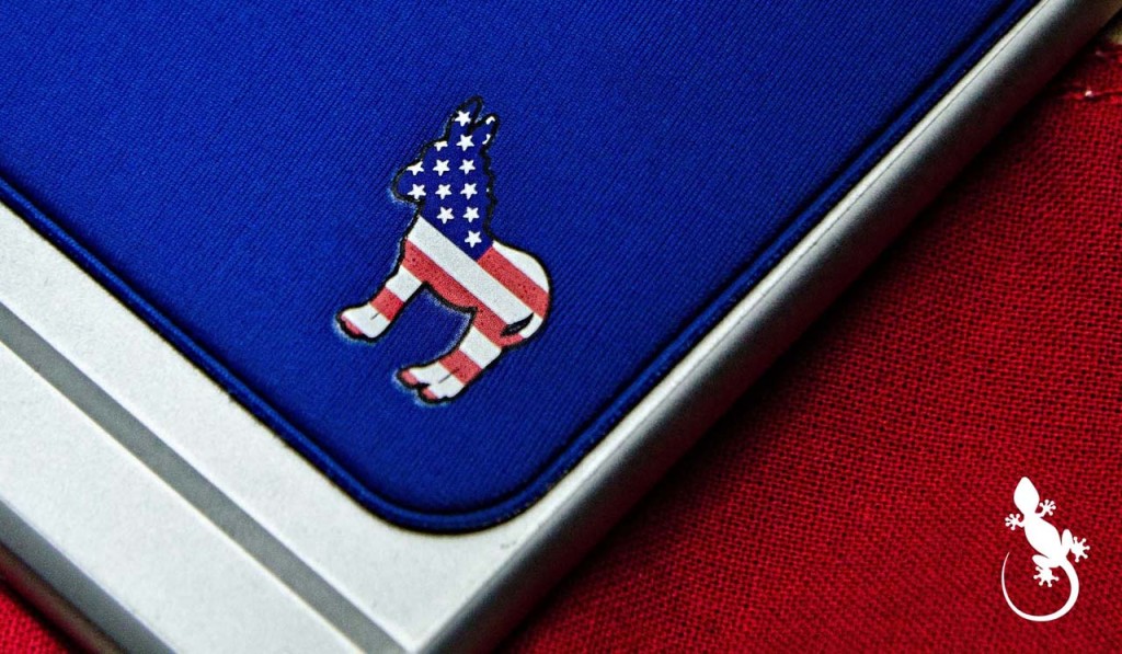 dem-flag-detail-2