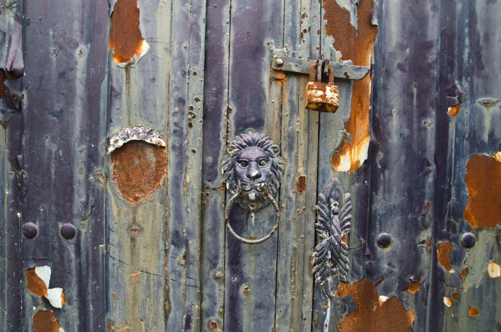 lion-door-DSC_0478