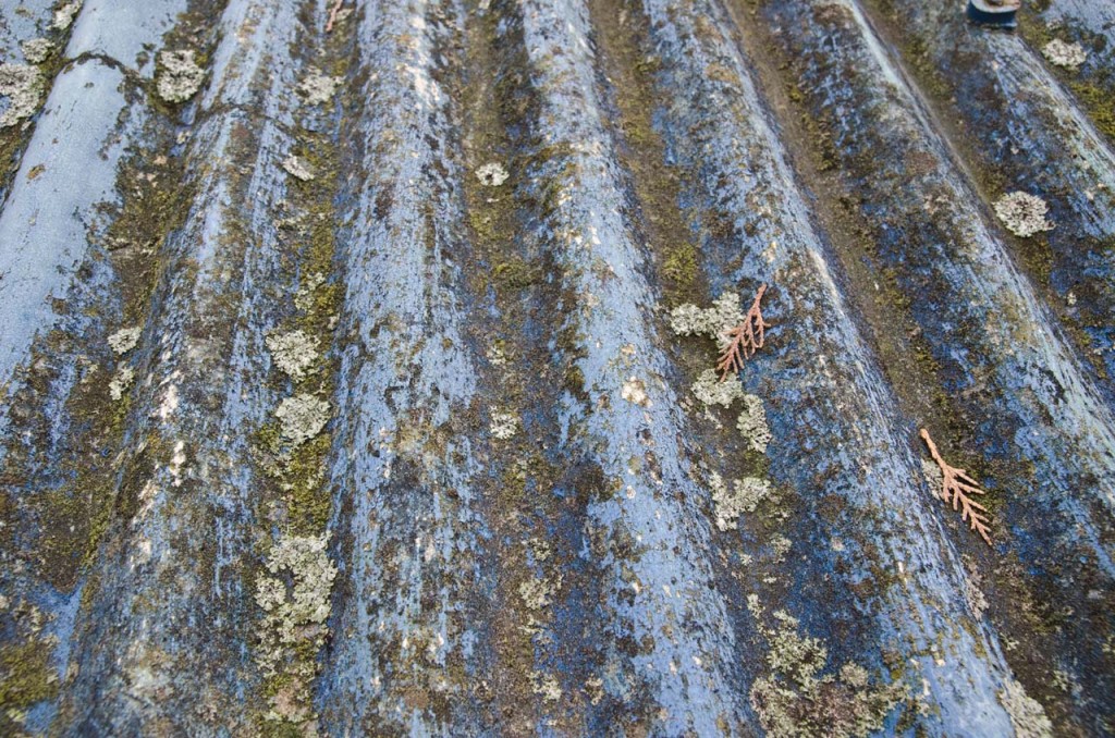 roof-blue-DSC_0461